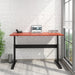 Transcend Desk by Relax The Back